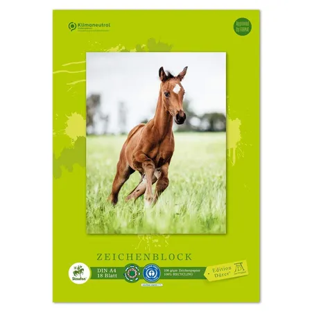 Green Zeichenblock A4 18 Blatt 100g/qm 4 Motive