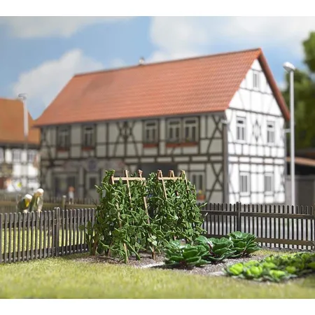 Busch Stangenbohnen