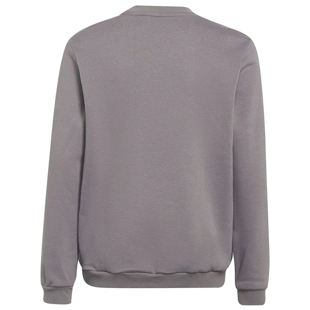 adidas Entrada 22 Stadium SW sweatshirt
