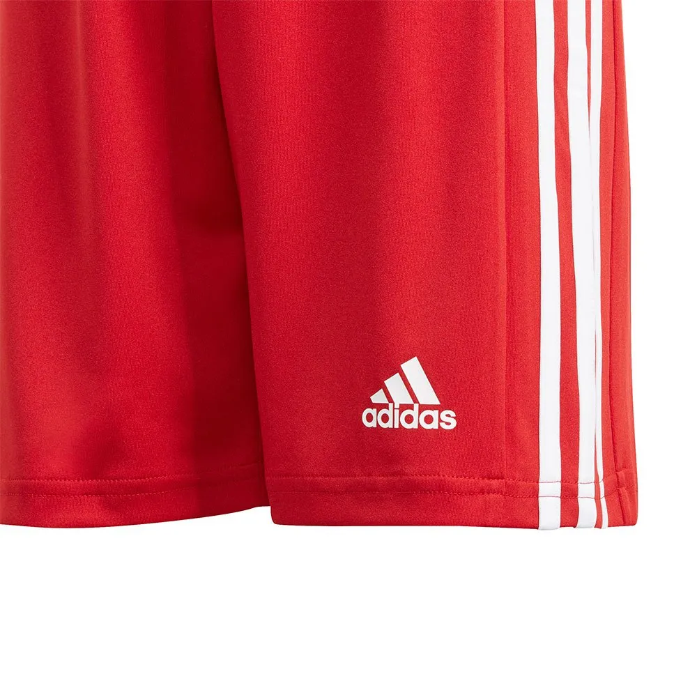 adidas Squadra 21 kurze hose