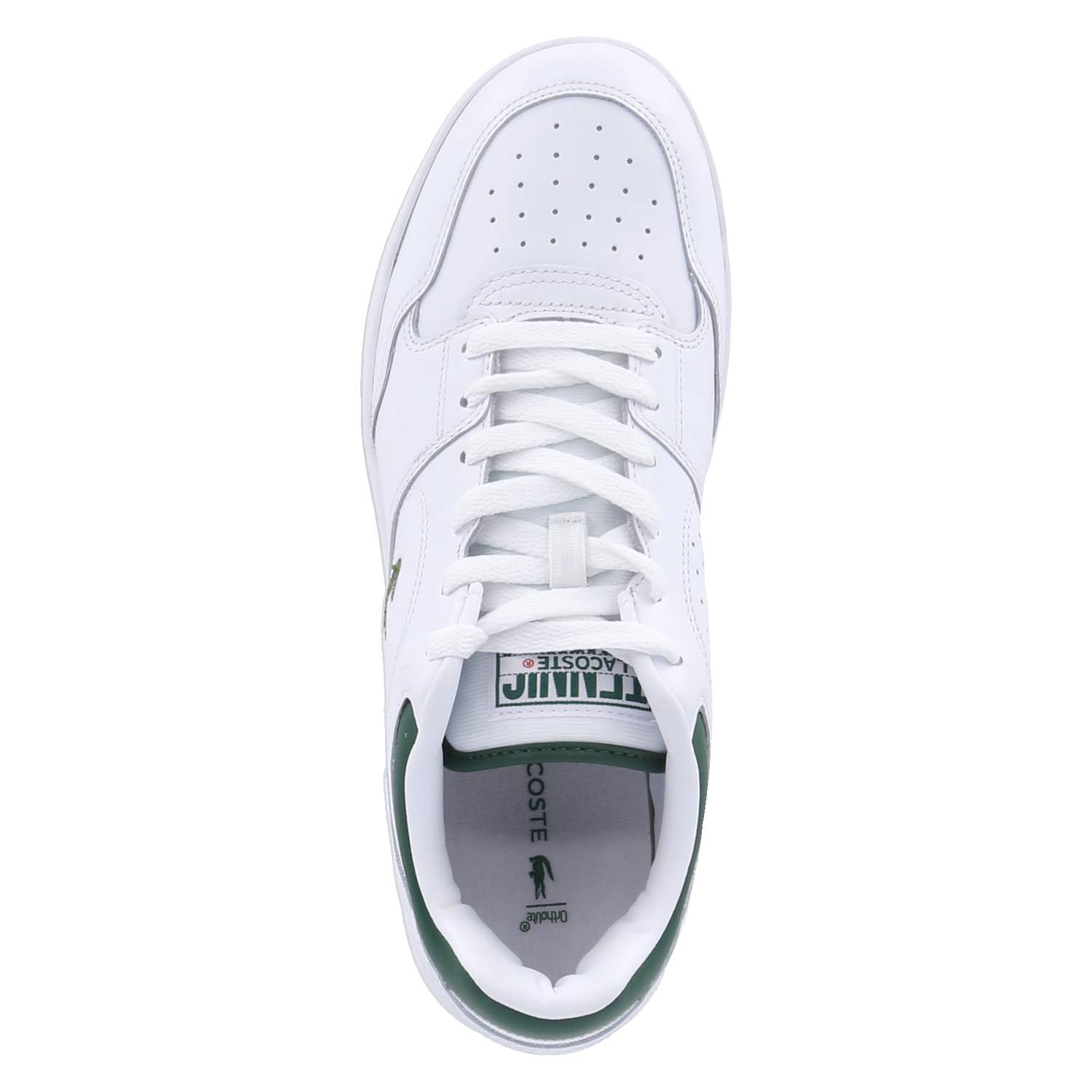 Lacoste Low Sneaker LINEDRIVE - wht/dk grn