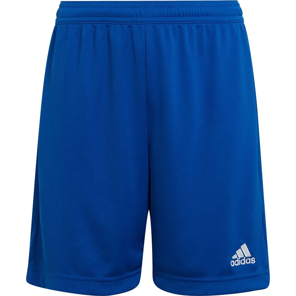 adidas Entrada 22 kurze hose
