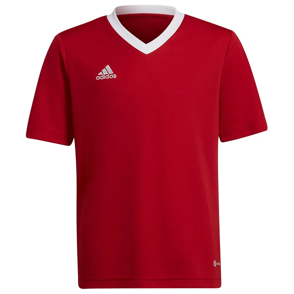 adidas Entrada 22 kurzarm-T-shirt