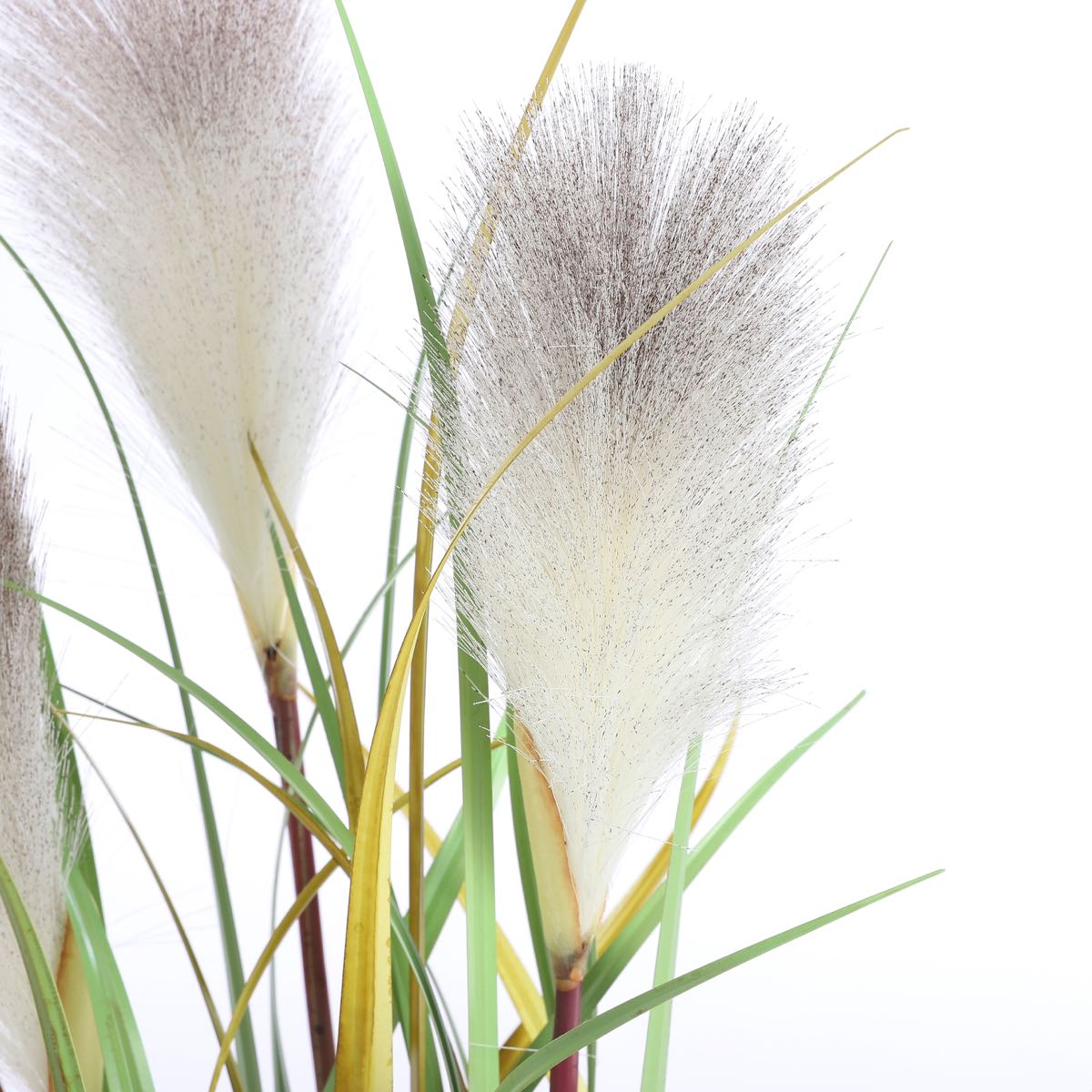 Herbe fogtail artificielle en pot h81