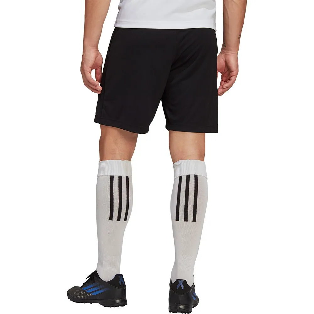 adidas Entrada 22 Training kurze hose