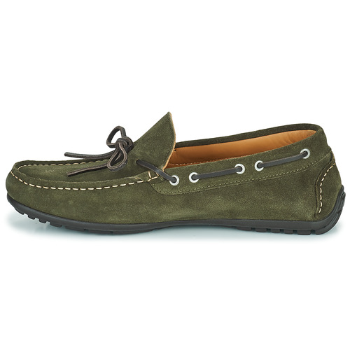 Pellet - NERE - Velours kaki