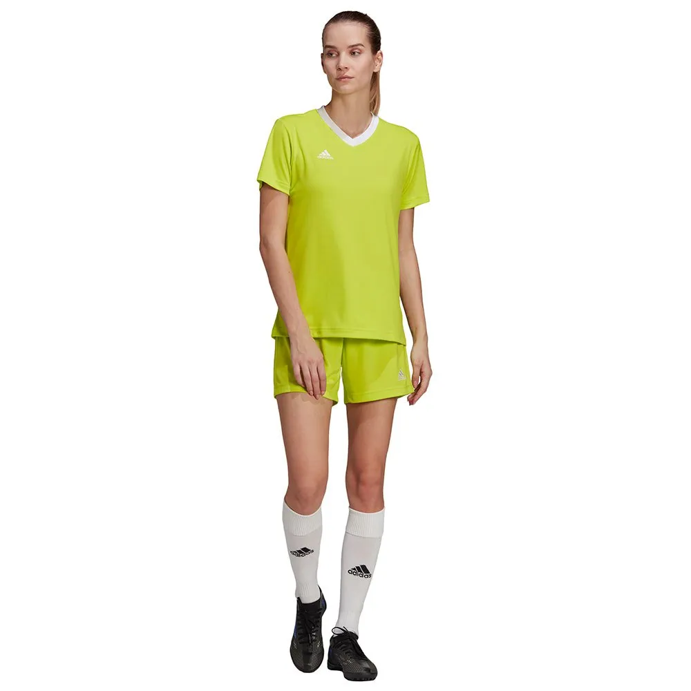adidas Entrada 22 kurzarm-T-shirt