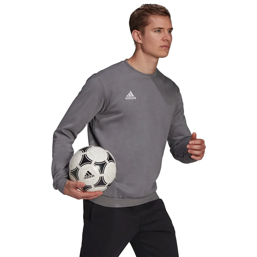 adidas Entrada 22 Stadium SW sweatshirt