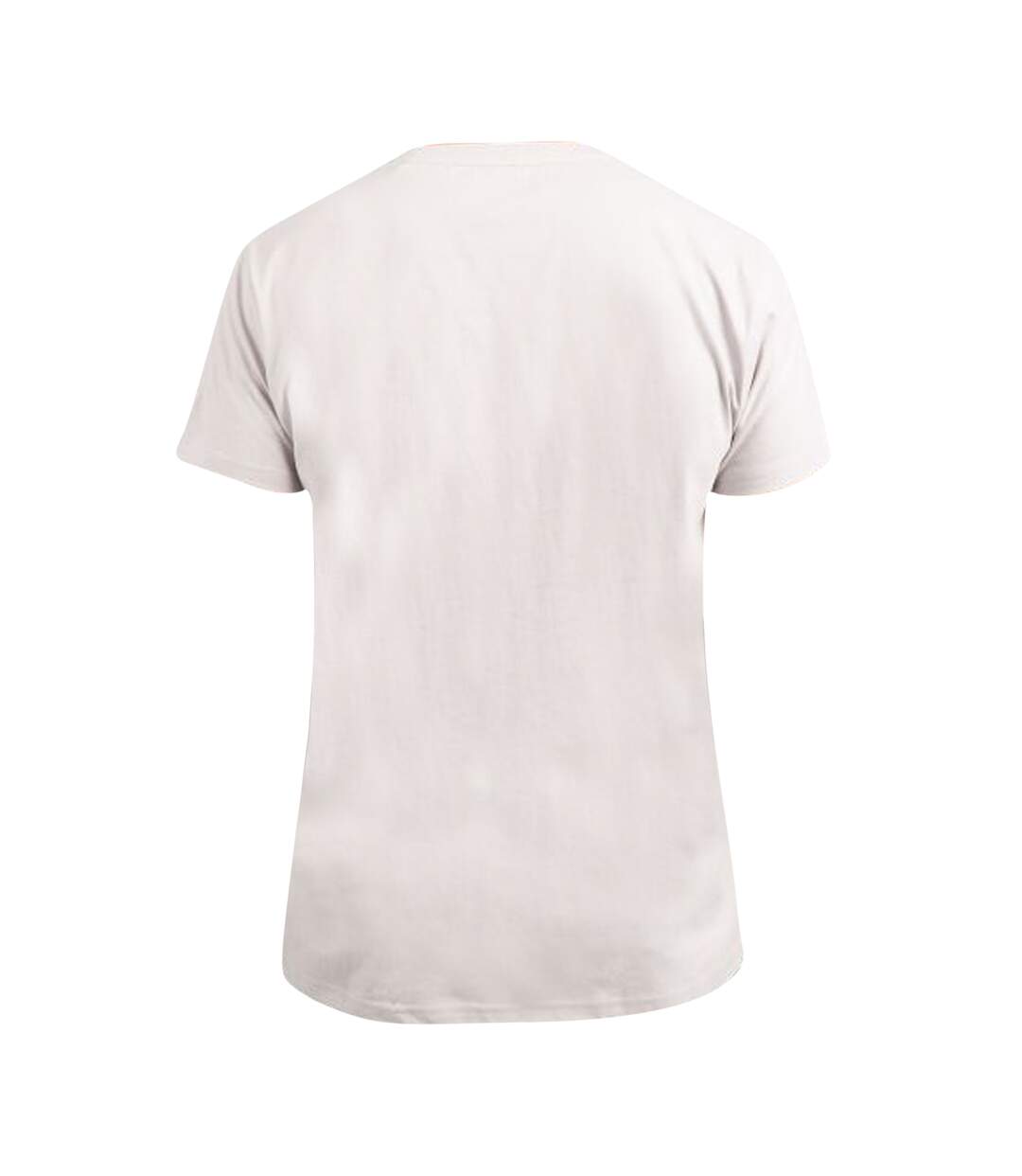 Trespass - T-shirt LAKEHOUSE - Homme (Gris pâle) - UTTP5469