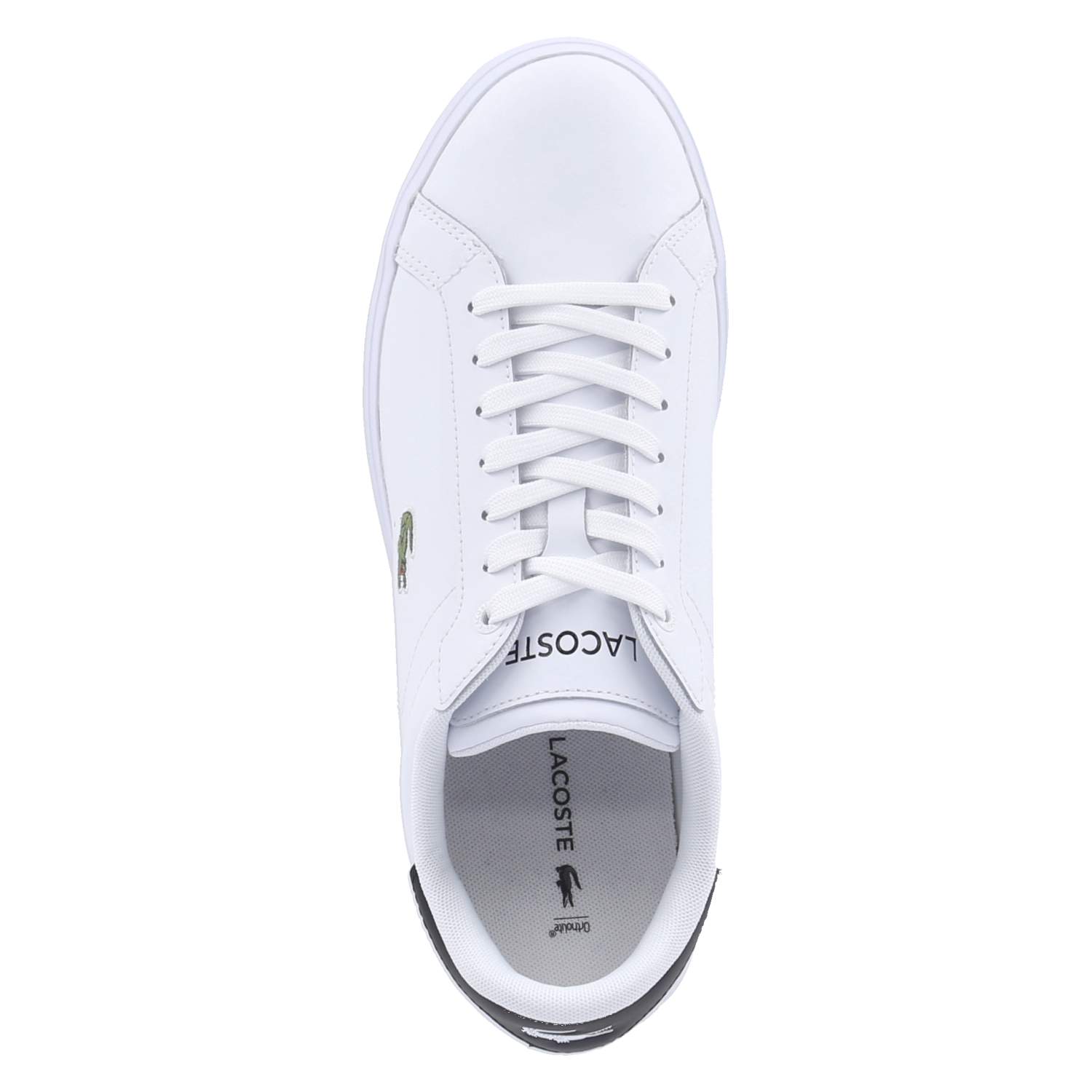 Lacoste Low Sneaker POWERCOURT - wht/blk