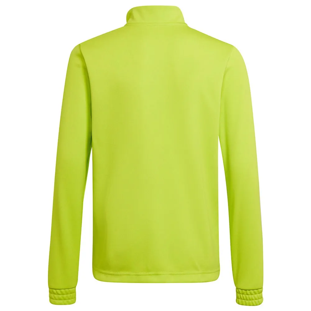 adidas Entrada 22 Training sweatshirt