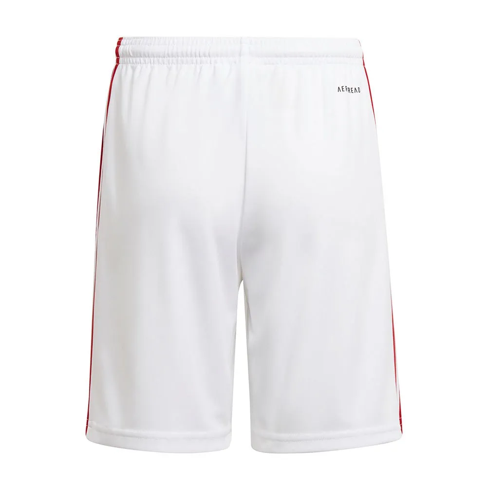 adidas Squadra 21 kurze hose