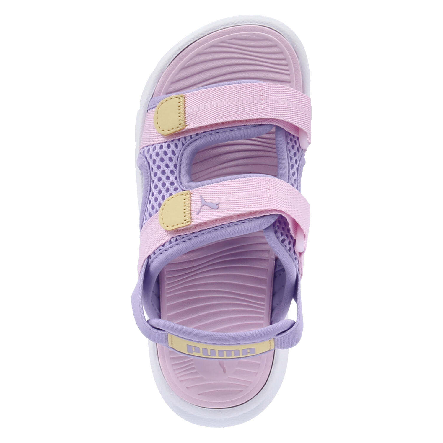 Puma Sandalen EVOLVE SANDAL PC - vivid violet - pearl pink