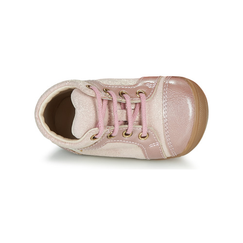 GBB - OMANE - Rose