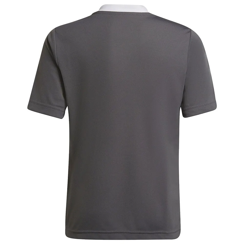 adidas Entrada 22 kurzarm-T-shirt