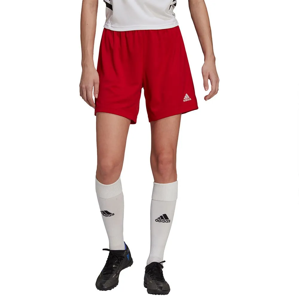 adidas Entrada 22 kurze hose