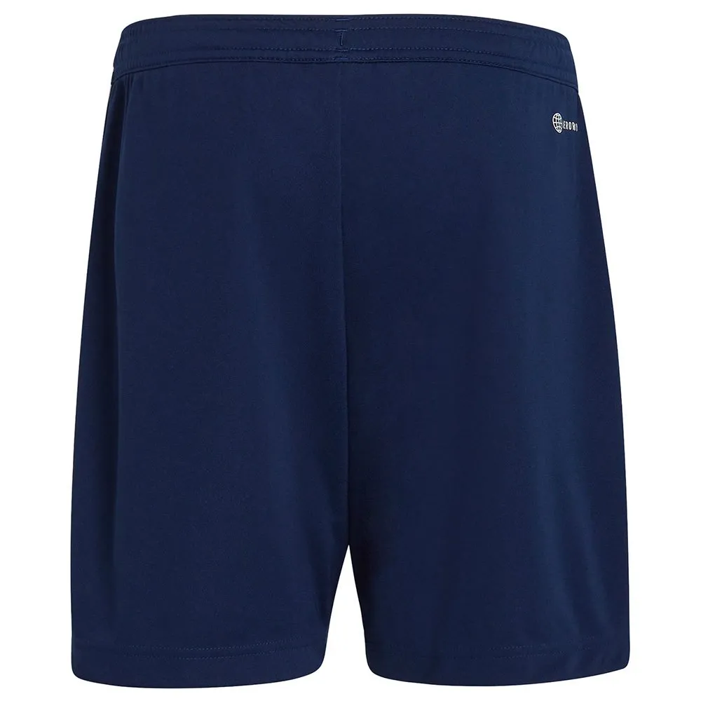 adidas Entrada 22 Training kurze hose