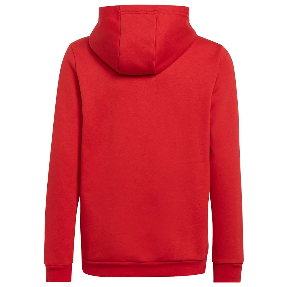 adidas Entrada 22 kapuzenpullover
