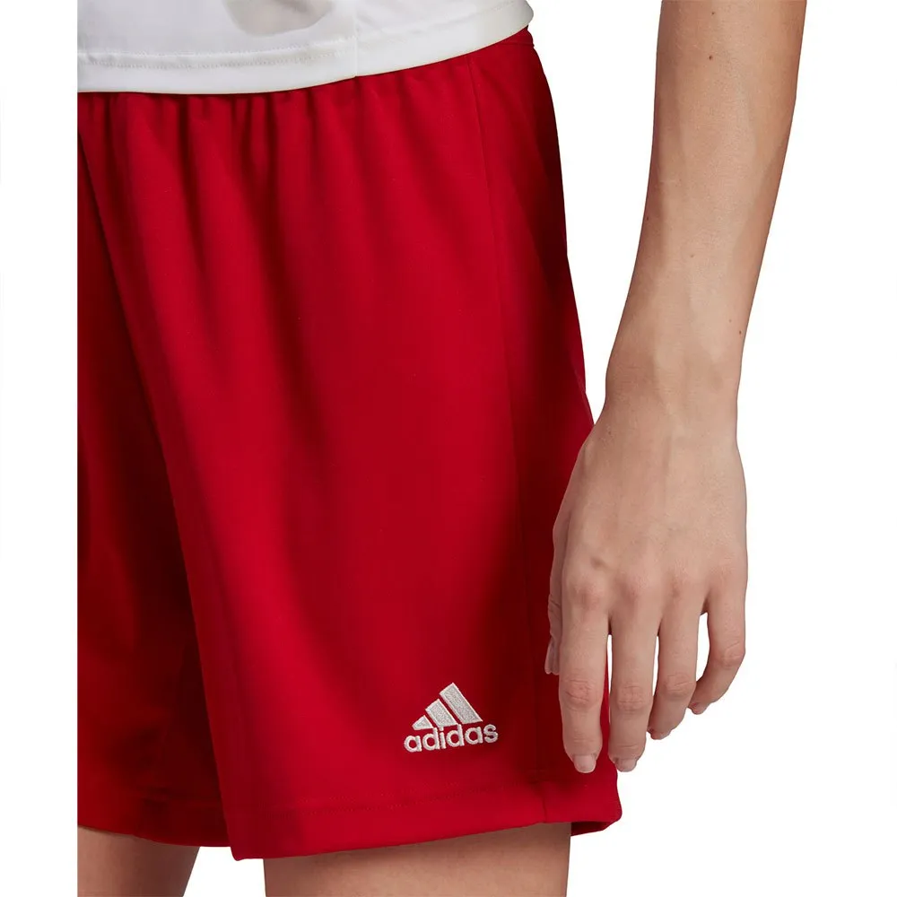 adidas Entrada 22 kurze hose