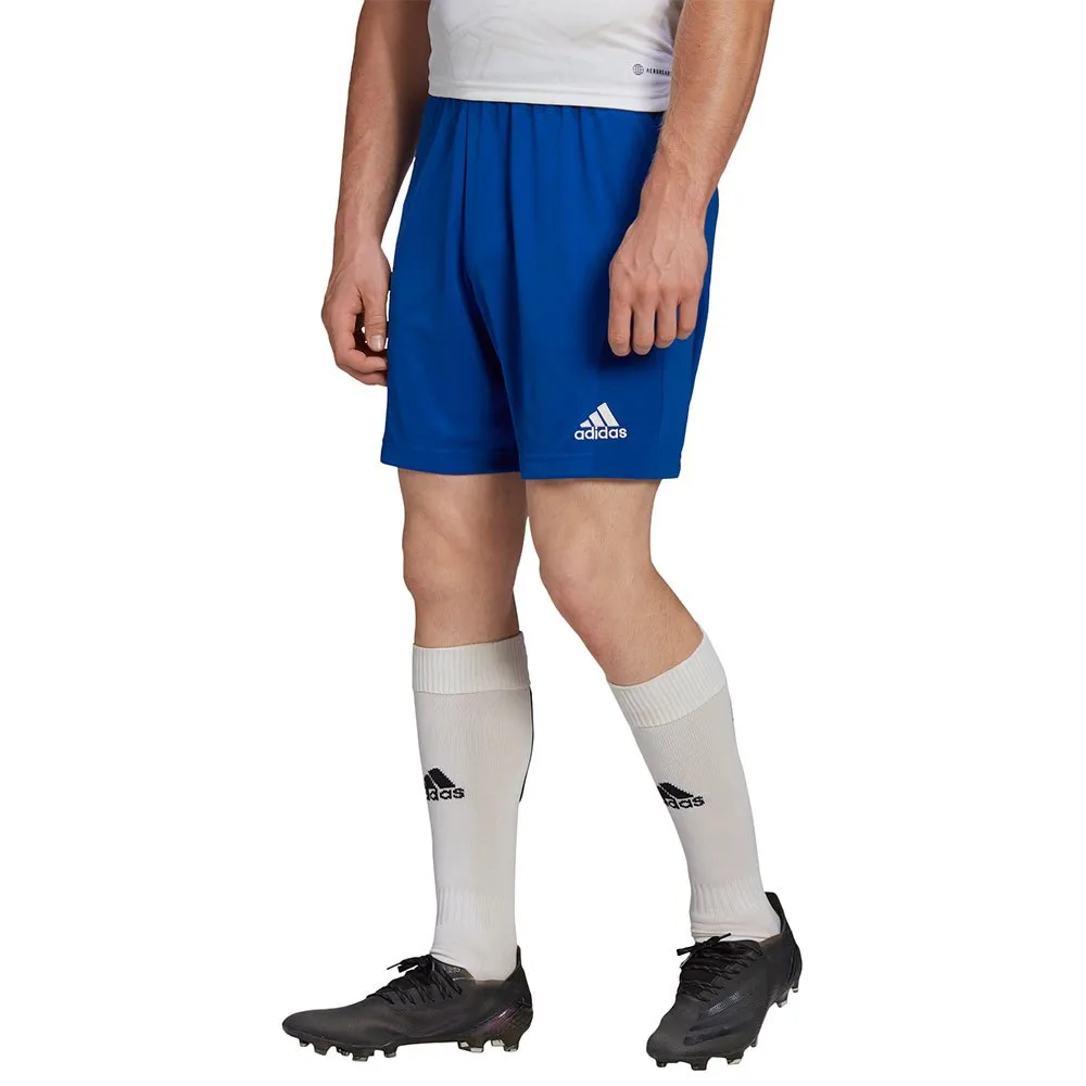adidas Entrada 22 kurze hose