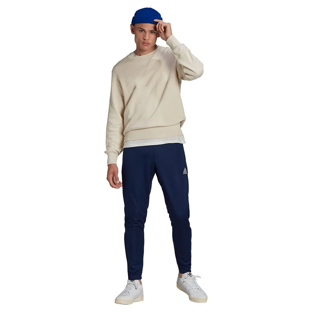 adidas Entrada 22 hosen