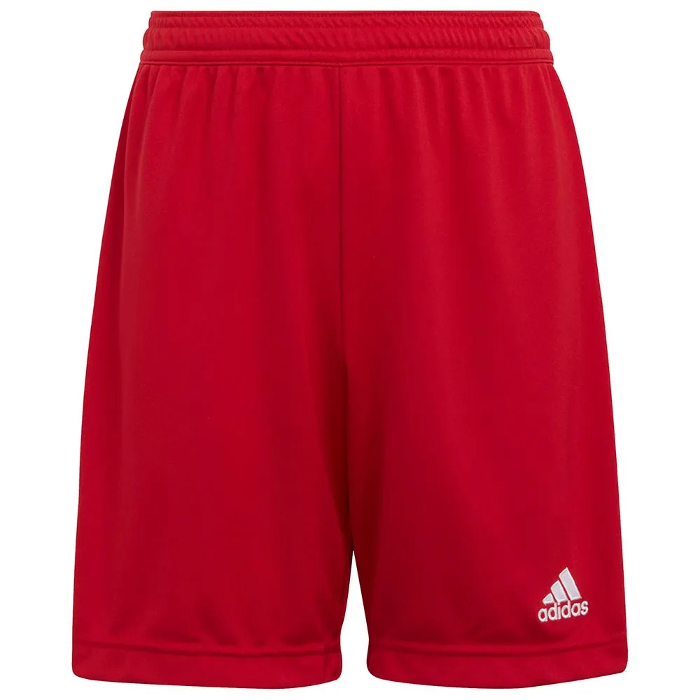 adidas Entrada 22 kurze hose