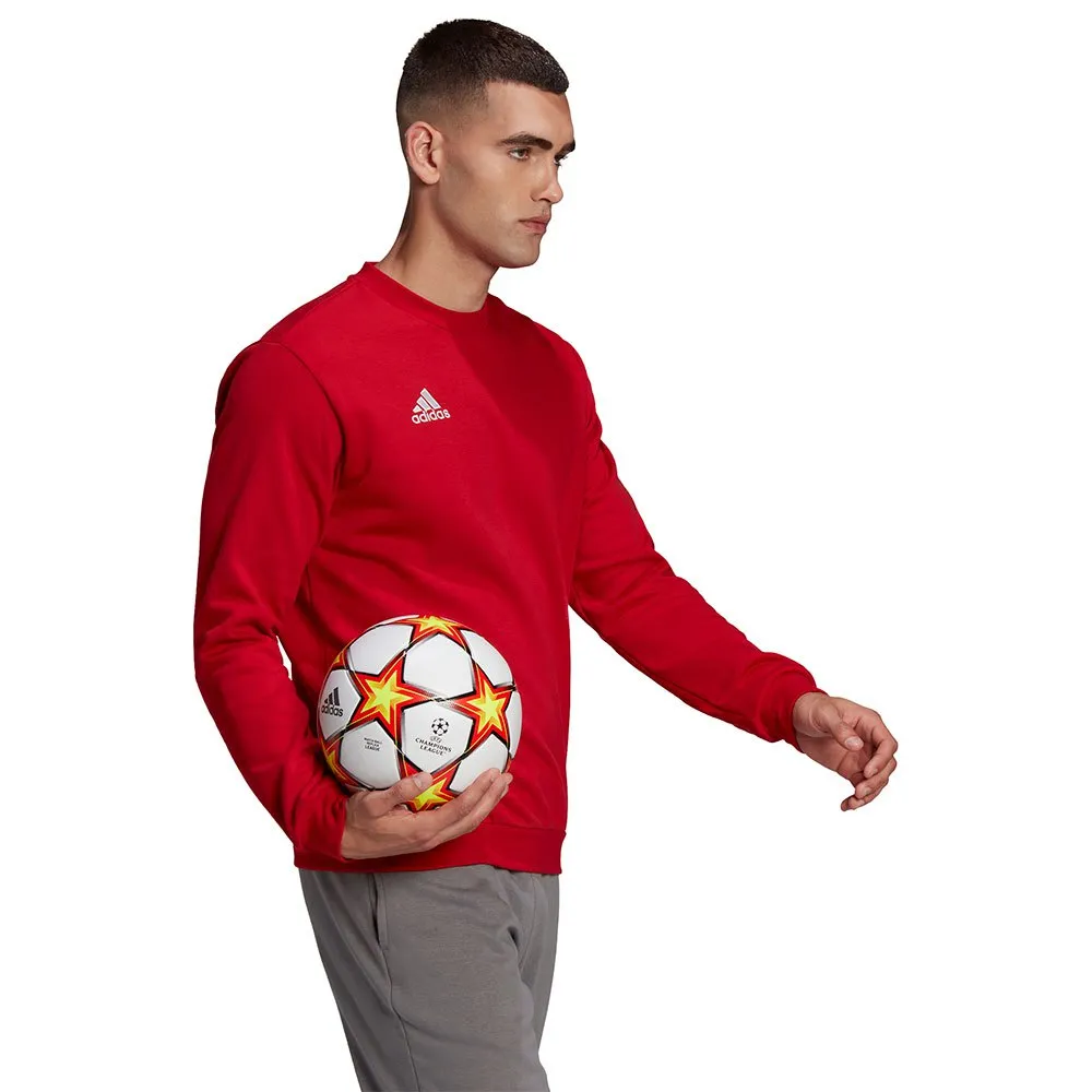 adidas Entrada 22 Stadium SW sweatshirt