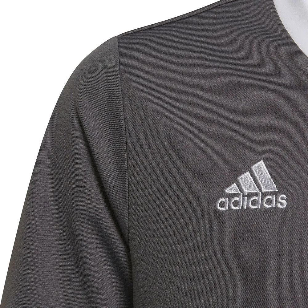 adidas Entrada 22 kurzarm-T-shirt