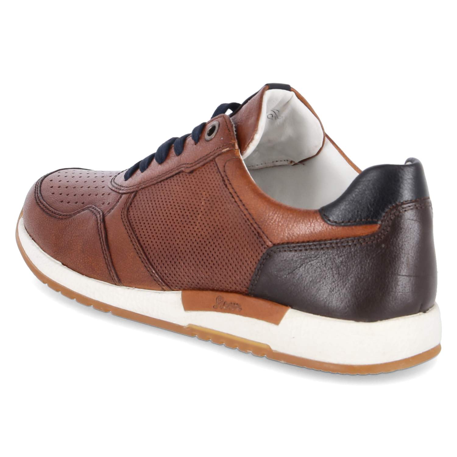 Sioux Low Sneaker ROJARO - cognac/testa-di-m.