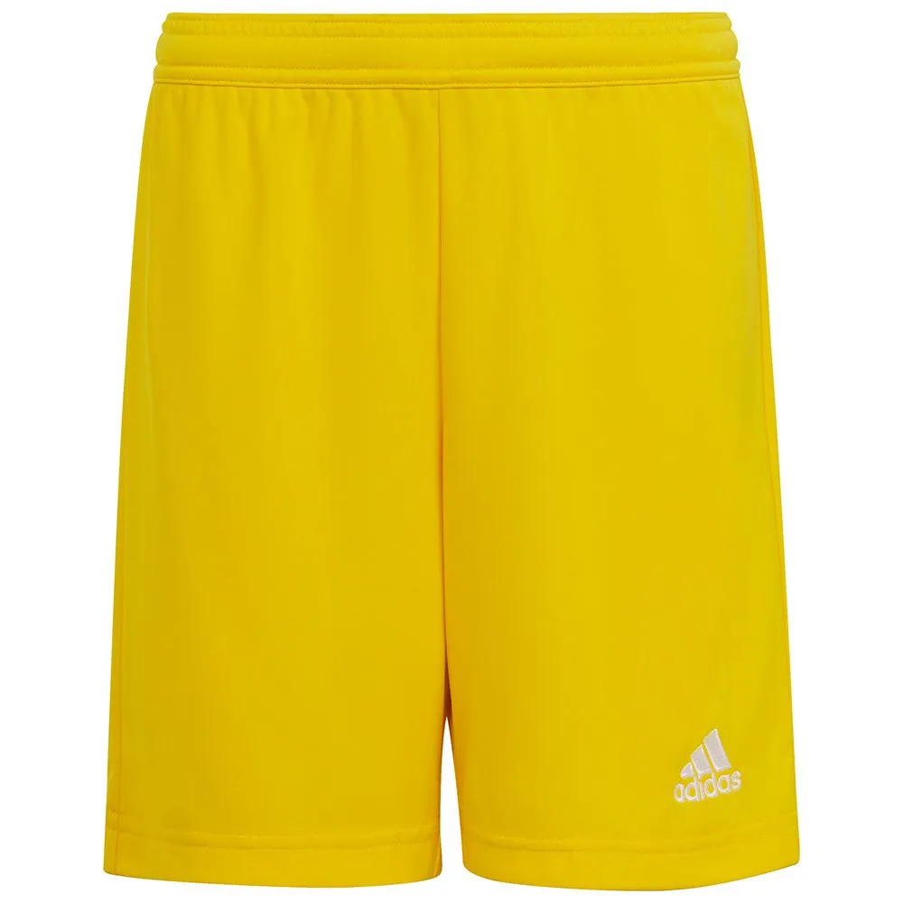 adidas Ent22 kurze hose