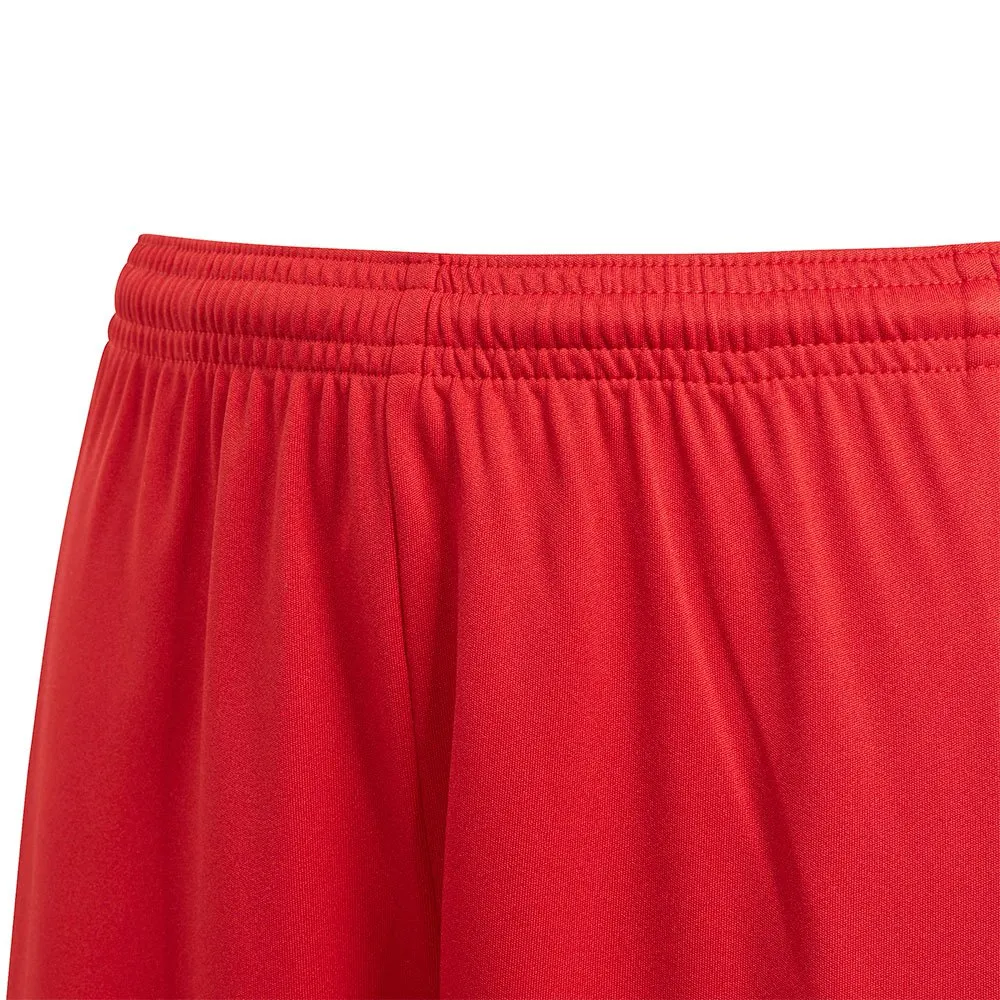 adidas Squadra 21 kurze hose