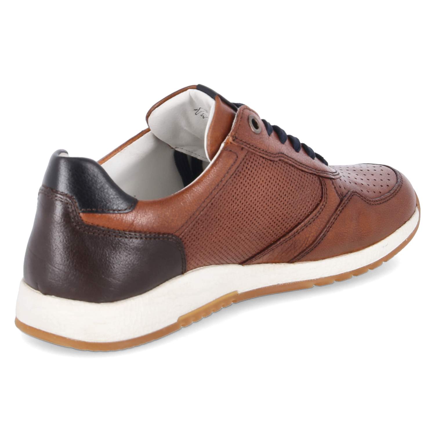 Sioux Low Sneaker ROJARO - cognac/testa-di-m.