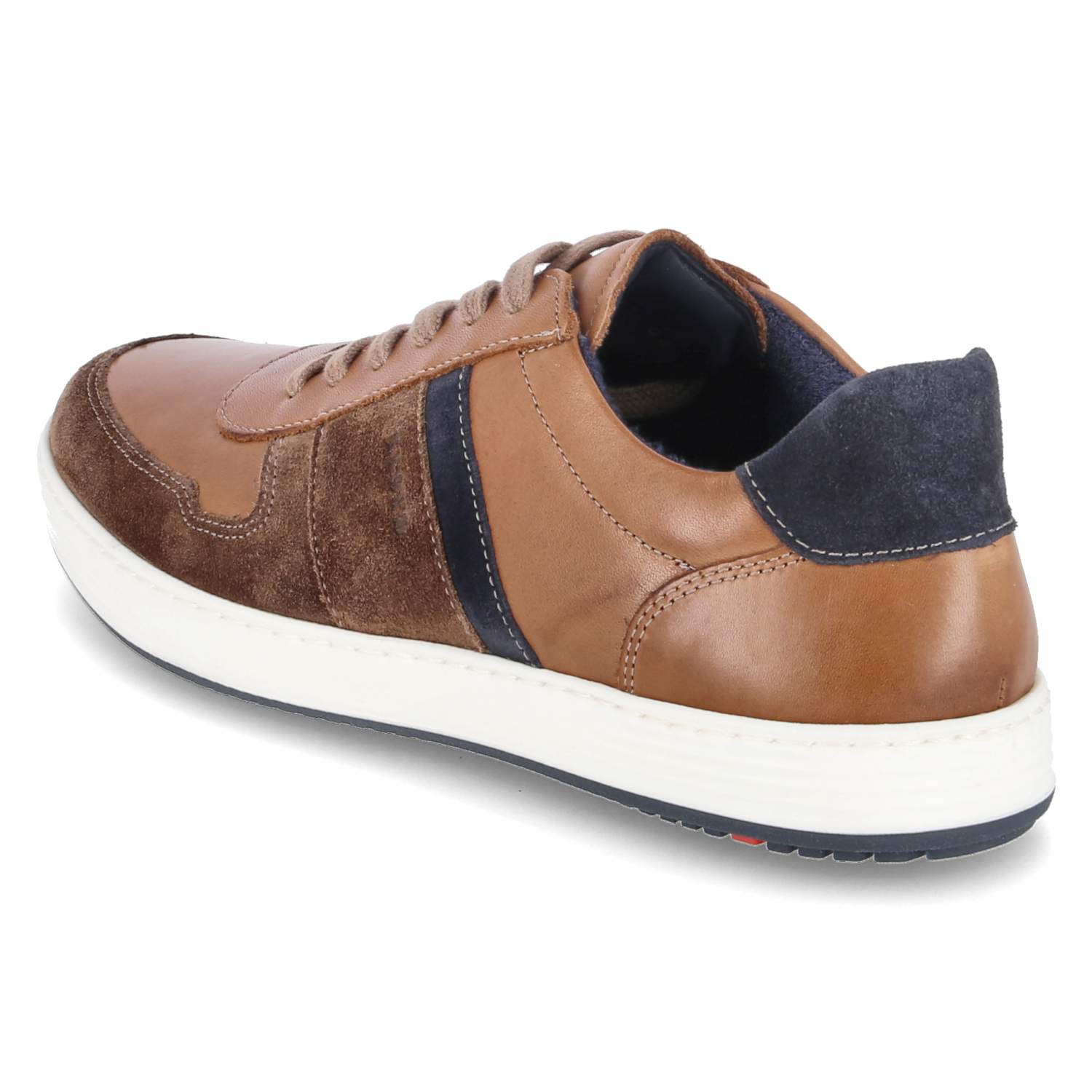 Lloyd Low Sneaker BOSCO - havanna