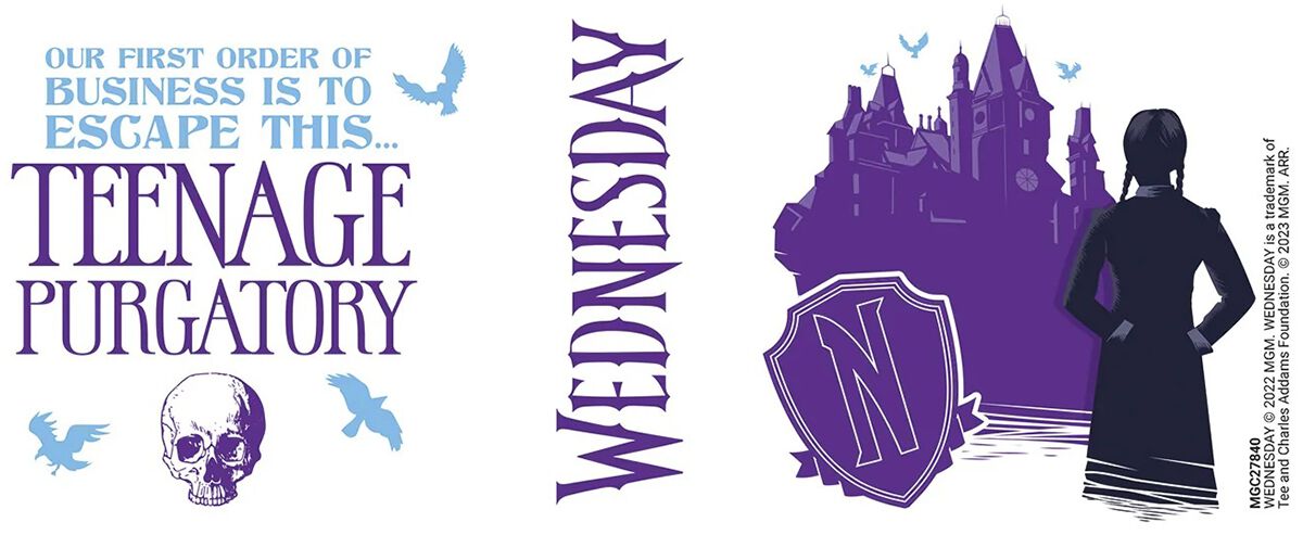 Teenage purgatory | Wednesday Mug