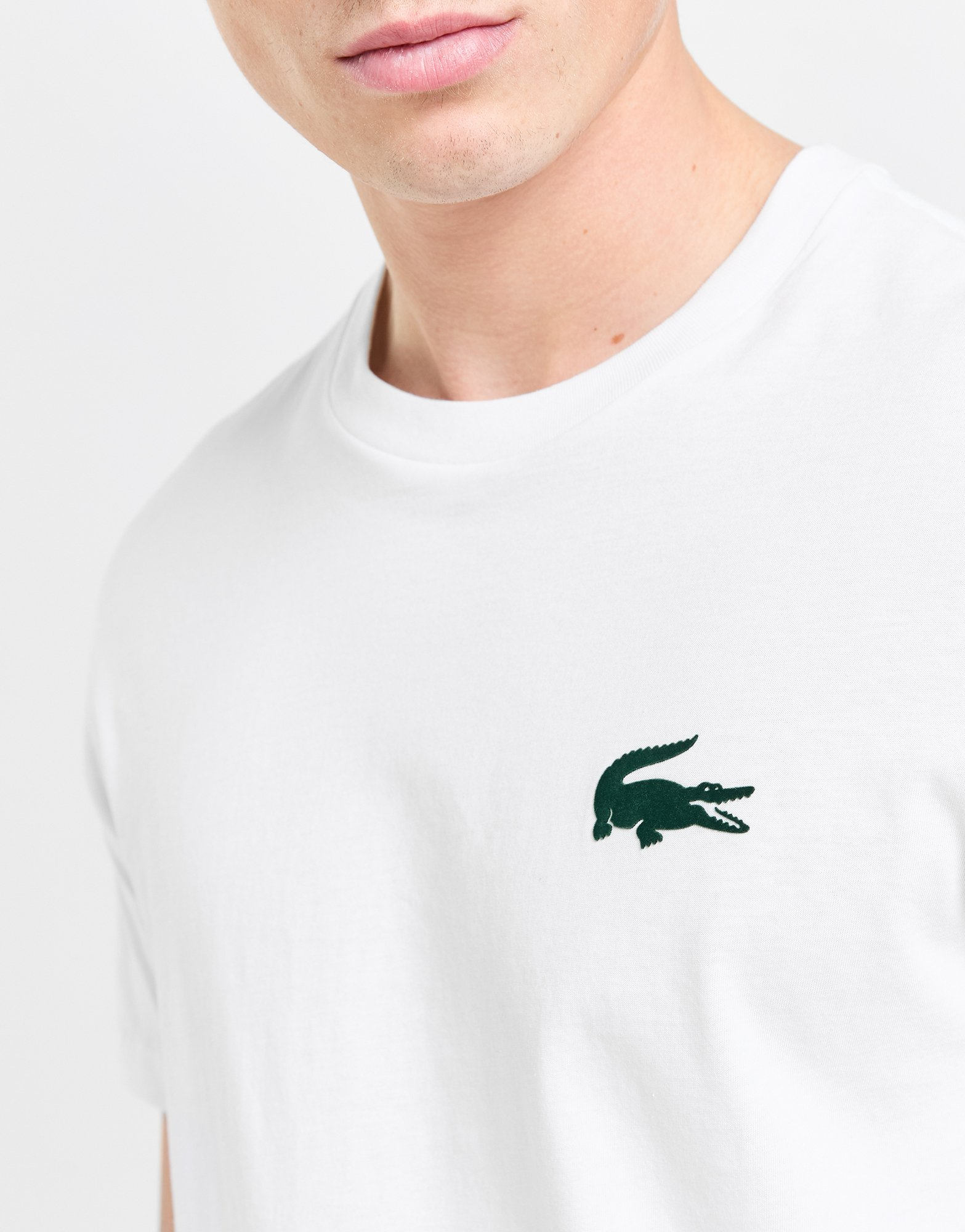 Lacoste T-shirt Croco Homme