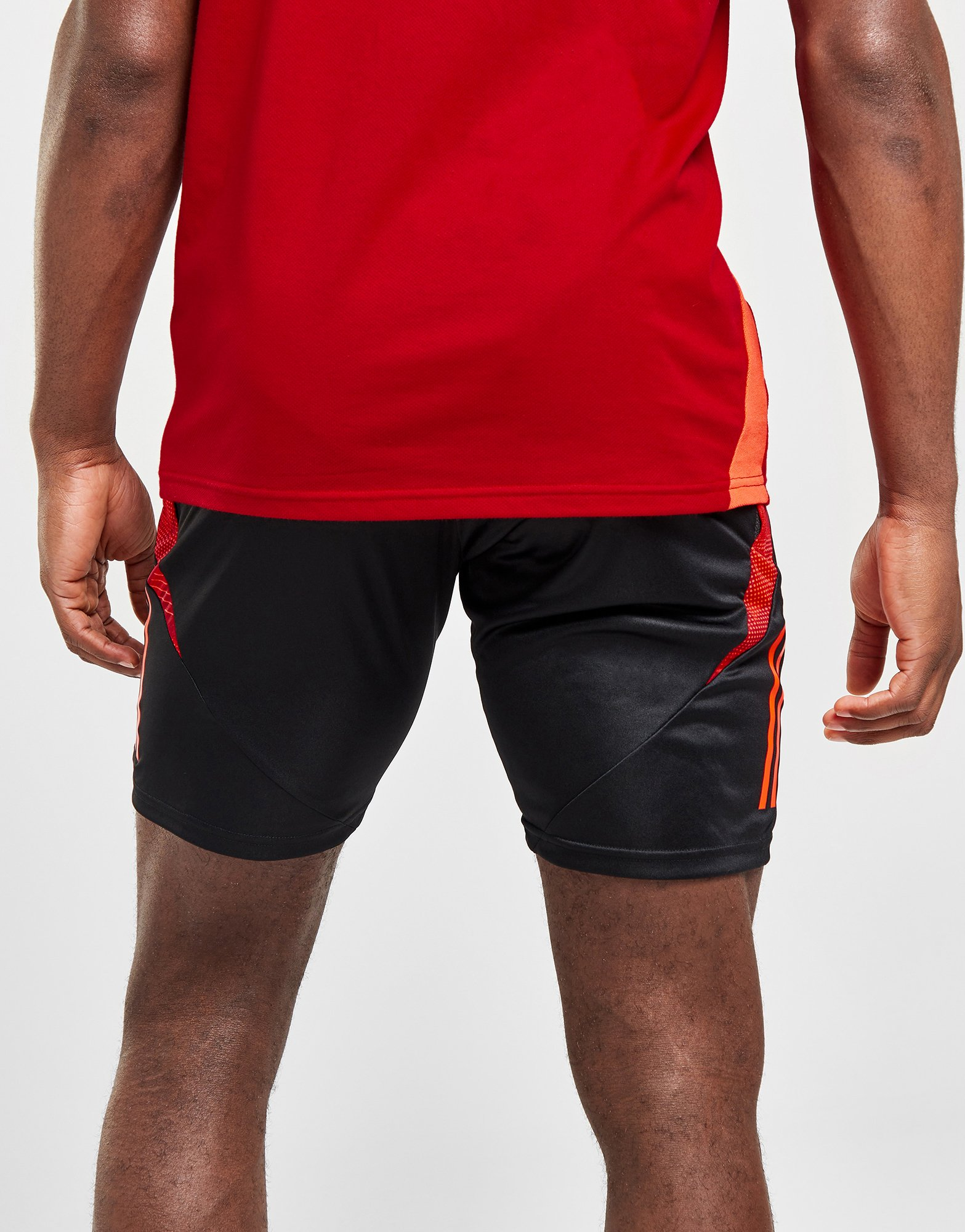 adidas Short d'entraînement Pays de Galles Tiro 24 Homme