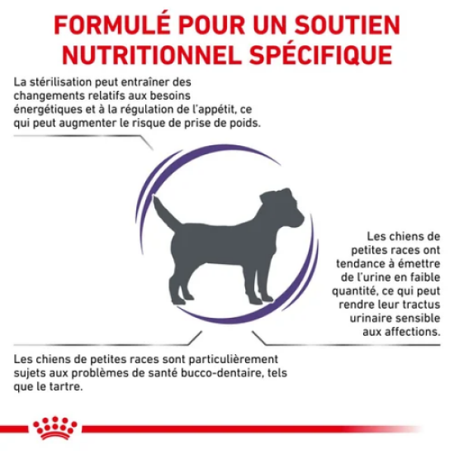 Croquettes Royal Canin Expert Care Neutered Adulte Small Dog Weight & Dental
