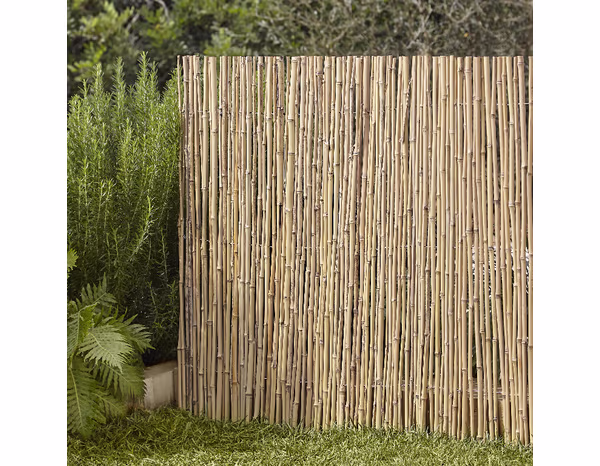 Canisse  en bambou 300 x 100 - Blooma