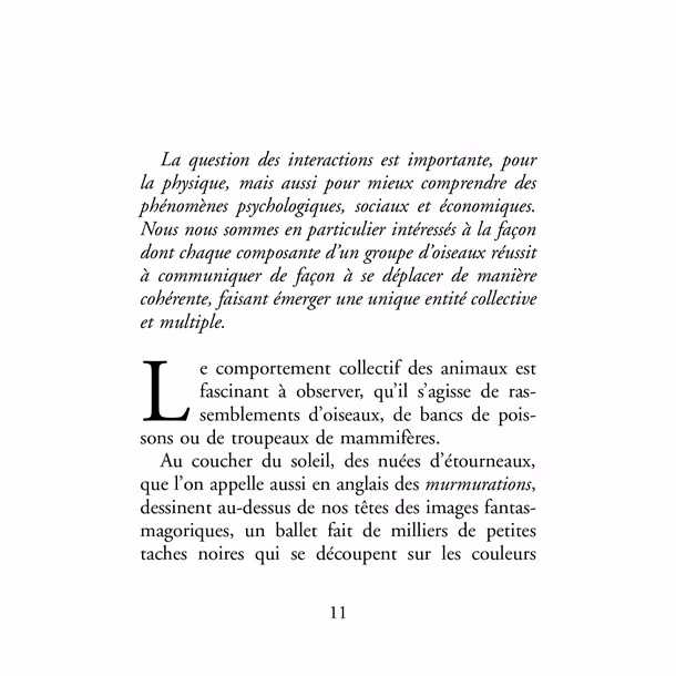 Comme un vol d’étourneaux