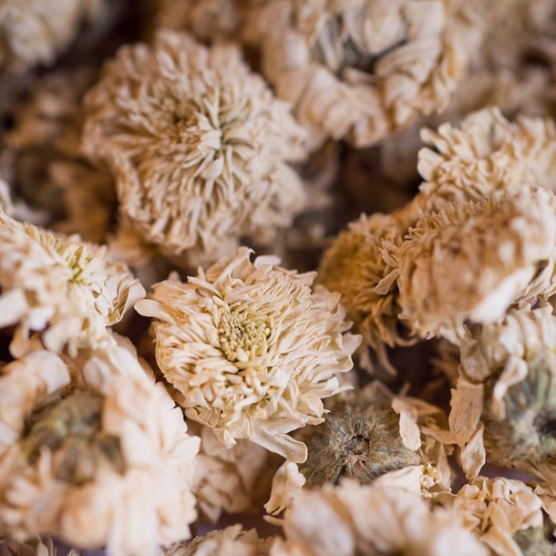 Camomille romaine bio fleur 20g