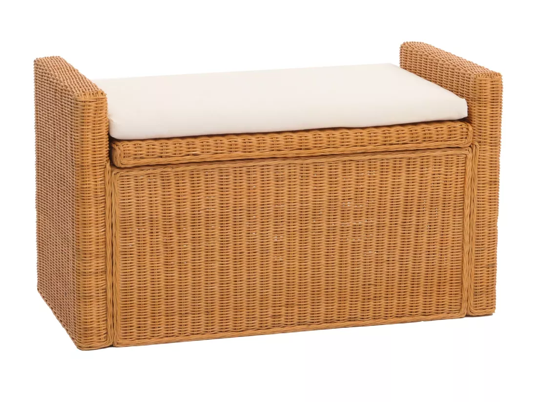 Coffre de rangement Genua Rattan, doré
