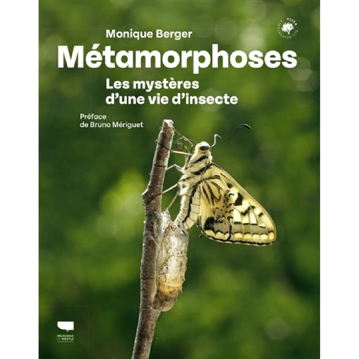 Métamorphoses : les mystères d'une vie d'insecte