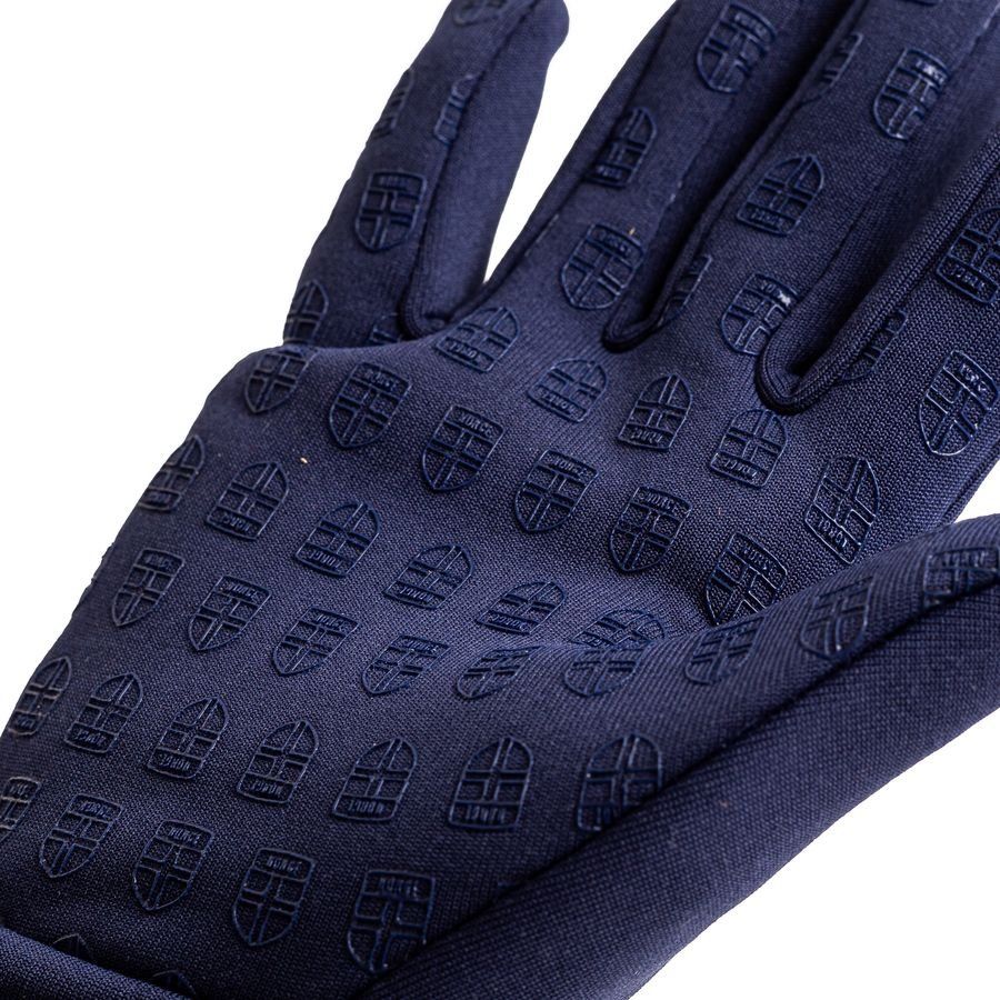 Norvège NFF Gants de Joueur Warm - Bleu