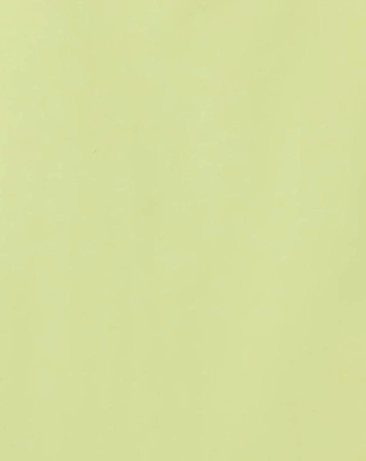 Tanktop NMMVUX in sunny lime