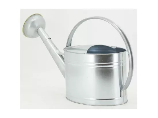 Arrosoir en métal galvanisé 10 L