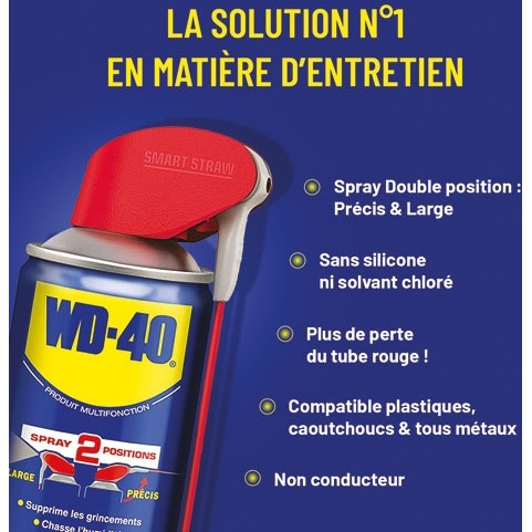 Bombe lubrifiant Multifonction - double spray - 250 mL