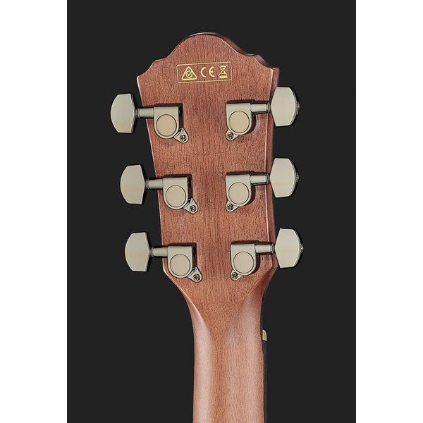 Ibanez AEG70L-TIH