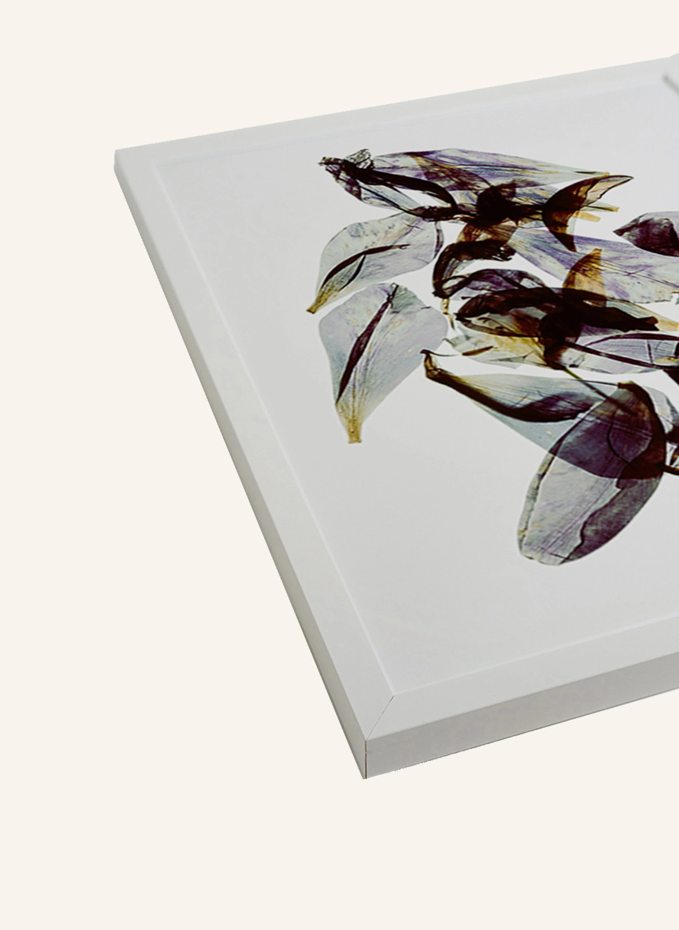 ANY IMAGE Wandbild RHODODENDRON mit Rahmen