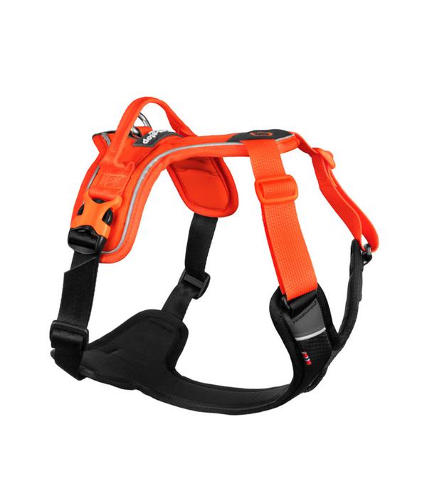 Non-stop dogwear Hundegeschirr Ramble harness,