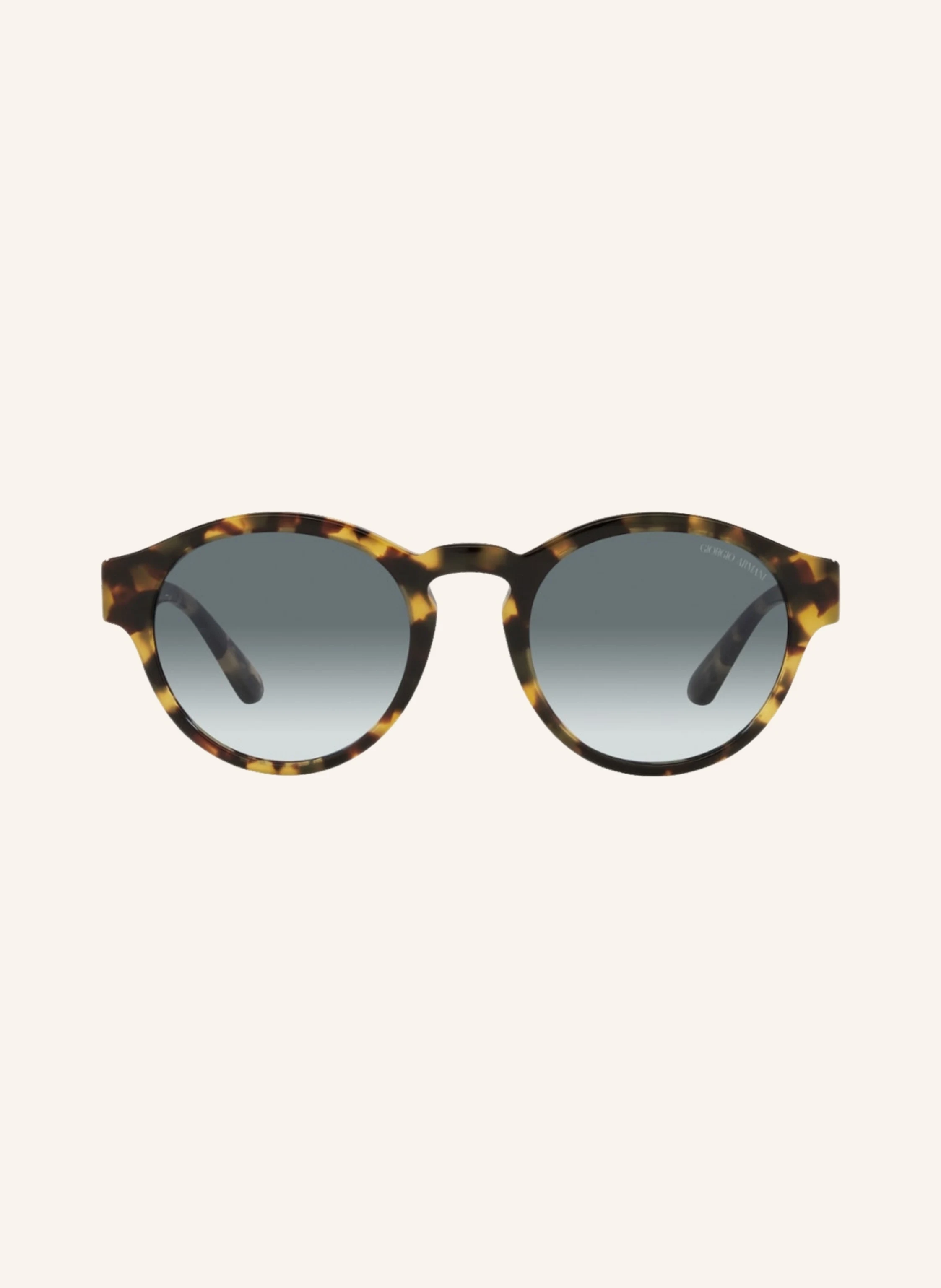 EMPORIO ARMANI Sonnenbrille AR8146